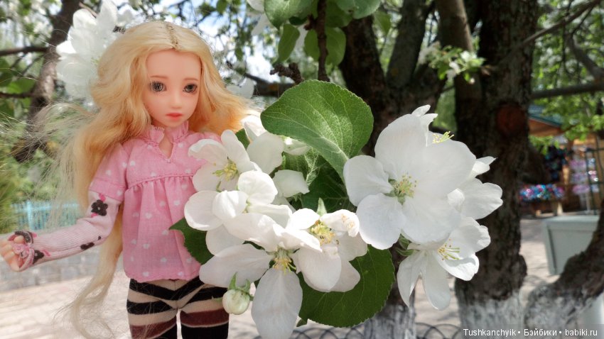 Настя в Нижнем Новгороде — Куклы и тела Obitsu (Обитсу): 1/6