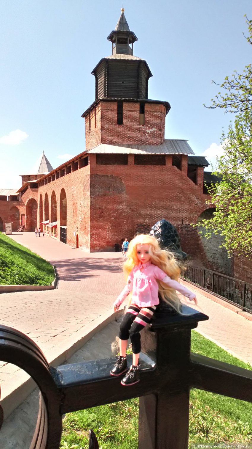 Настя в Нижнем Новгороде — Куклы и тела Obitsu (Обитсу): 1/6 (фото 8)