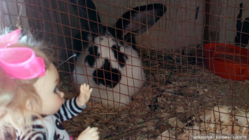 Каролинка и Марик. В гости к лошадкам | Бэйбики Каролинка и Марик. В гости к лошадкам (фото 6)
