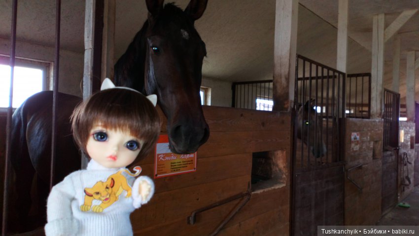 Каролинка и Марик. В гости к лошадкам | Бэйбики Каролинка и Марик. В гости к лошадкам (фото 9)