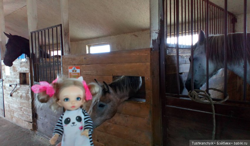Каролинка и Марик. В гости к лошадкам | Бэйбики Каролинка и Марик. В гости к лошадкам (фото 10)