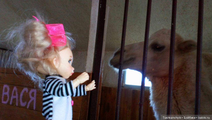 Каролинка и Марик. В гости к лошадкам | Бэйбики Каролинка и Марик. В гости к лошадкам (фото 8)