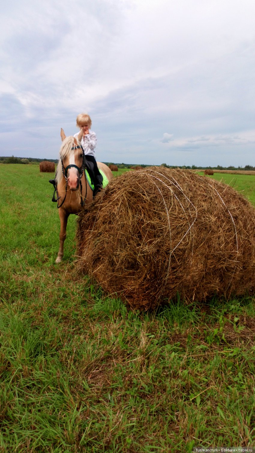 Каролинка и Марик. В гости к лошадкам | Бэйбики Каролинка и Марик. В гости к лошадкам