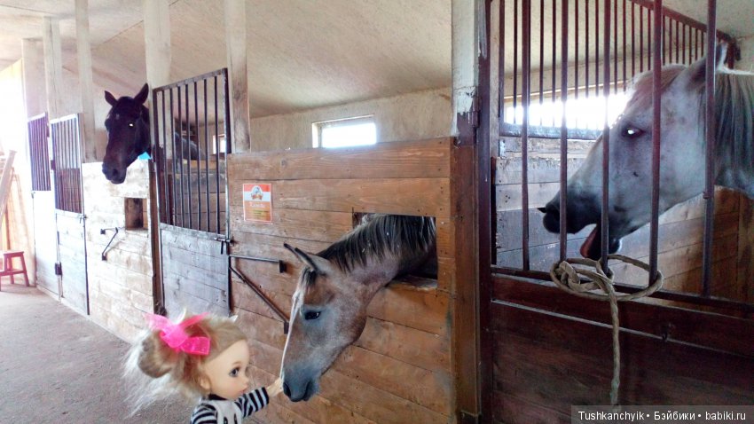 Каролинка и Марик. В гости к лошадкам | Бэйбики Каролинка и Марик. В гости к лошадкам