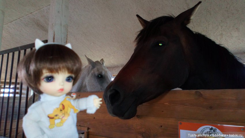 Каролинка и Марик. В гости к лошадкам | Бэйбики Каролинка и Марик. В гости к лошадкам