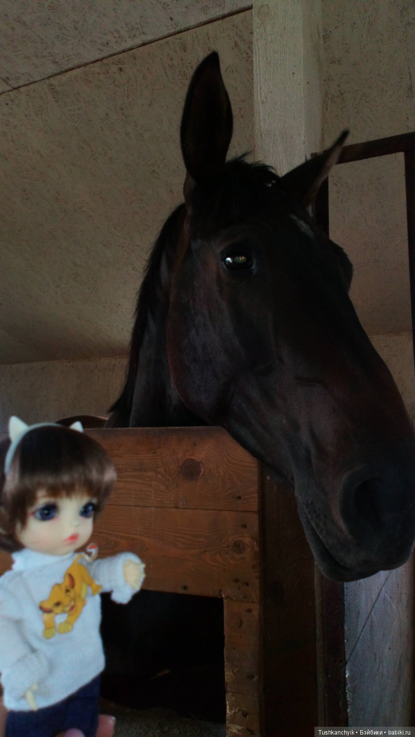 Каролинка и Марик. В гости к лошадкам | Бэйбики Каролинка и Марик. В гости к лошадкам