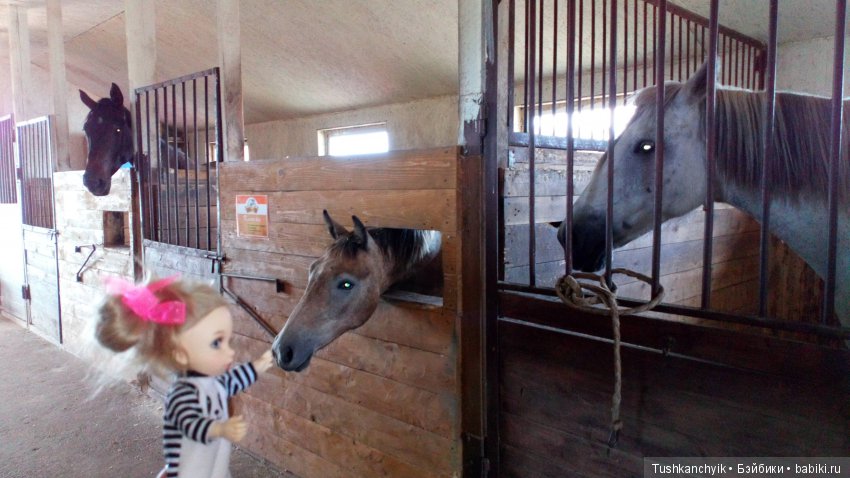 Каролинка и Марик. В гости к лошадкам | Бэйбики Каролинка и Марик. В гости к лошадкам