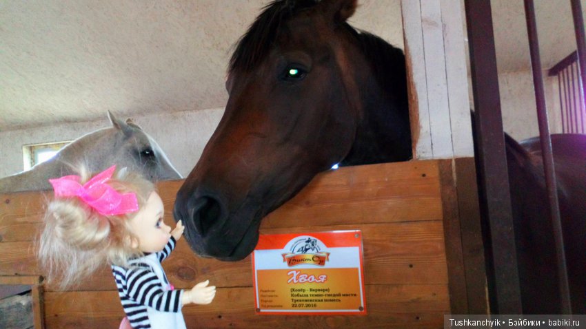 Каролинка и Марик. В гости к лошадкам | Бэйбики Каролинка и Марик. В гости к лошадкам
