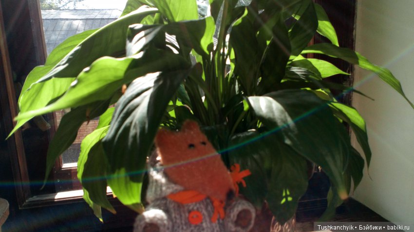 Домино и Томас. На работе (фото 3)