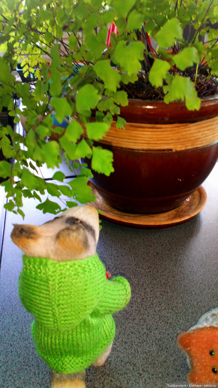 Домино и Томас. На работе (фото 4)