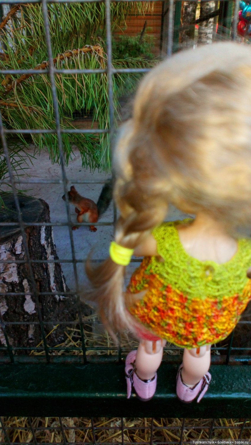 Каролинка и Марик. Малыши в НиНо. Ч. 10. Машинки или Белка - кто лучше