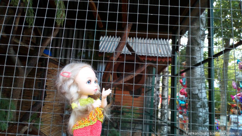 Каролинка и Марик. Малыши в НиНо. Ч. 10. Машинки или Белка - кто лучше