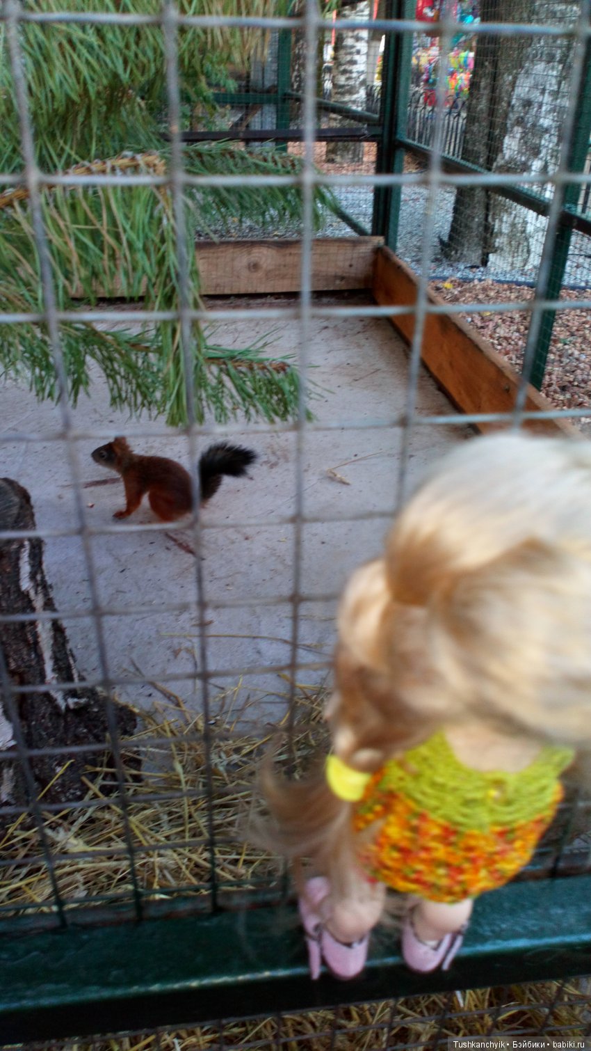 Каролинка и Марик. Малыши в НиНо. Ч. 10. Машинки или Белка - кто лучше