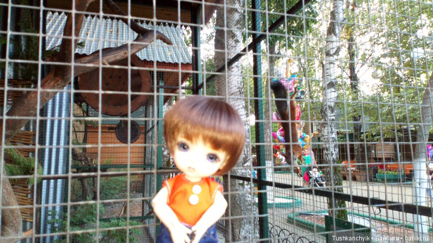 Каролинка и Марик. Малыши в НиНо. Ч. 10. Машинки или Белка - кто лучше