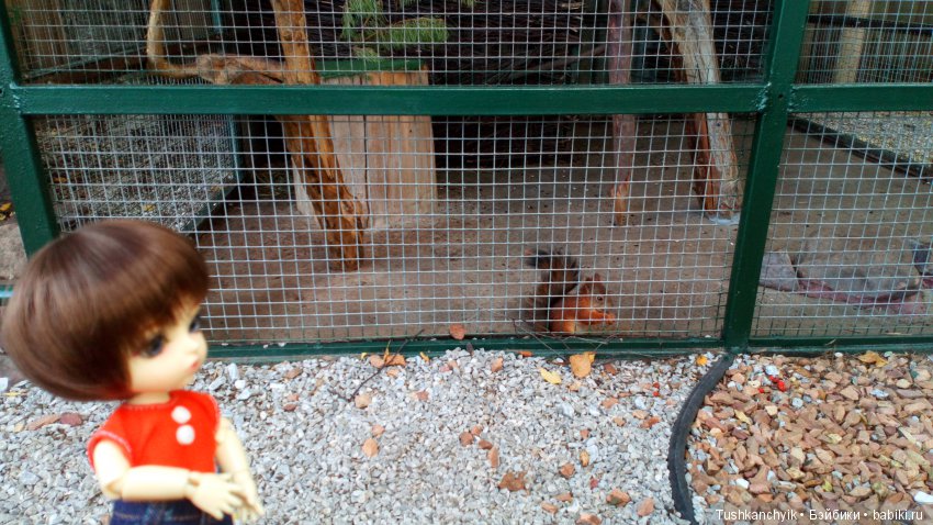 Каролинка и Марик. Малыши в НиНо. Ч. 10. Машинки или Белка - кто лучше