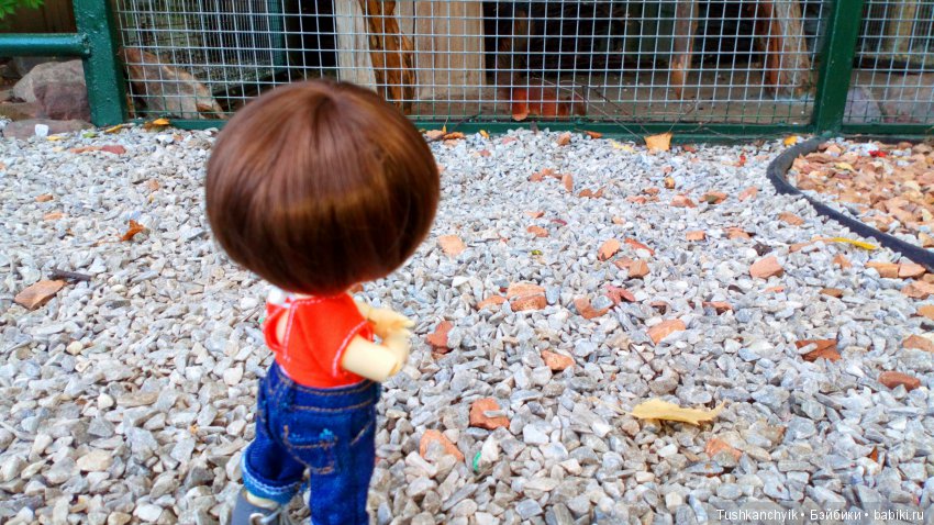 Каролинка и Марик. Малыши в НиНо. Ч. 10. Машинки или Белка - кто лучше