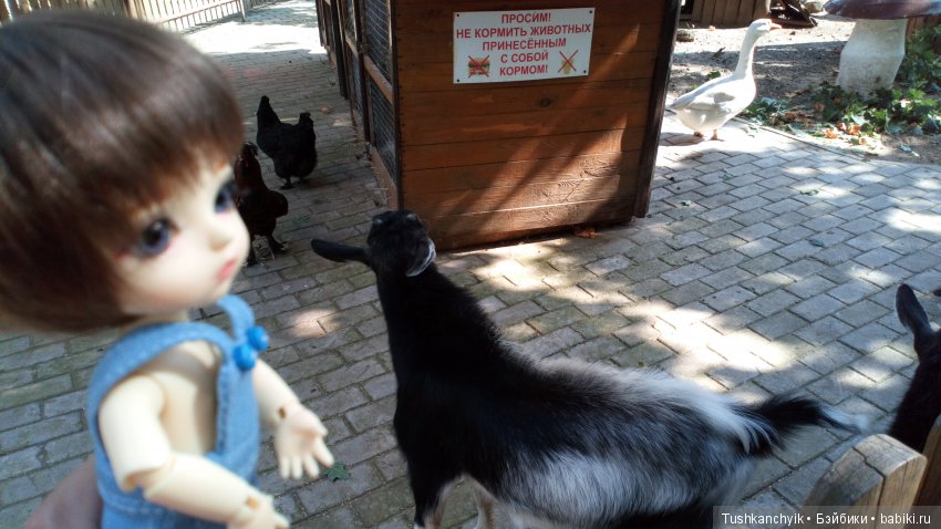 Каролинка и Марик. Малыши в НиНо. Ч. 16. Парк Первого Мая