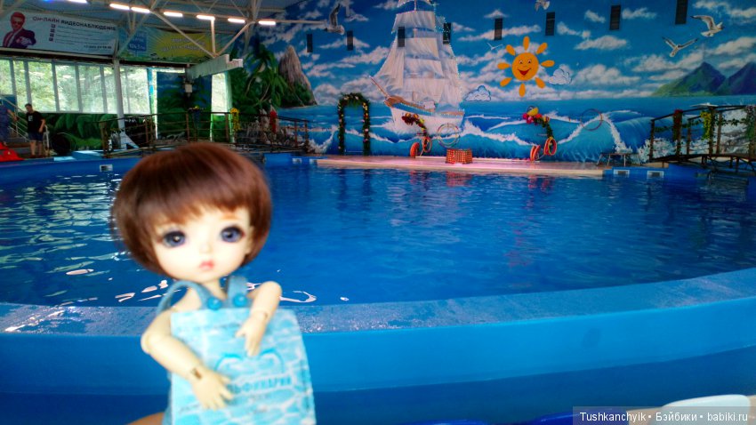 Каролинка и Марик. Малыши в НиНо. Ч. 17. Дельфины - не рыбы (фото 2)