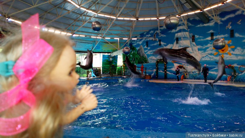 Каролинка и Марик. Малыши в НиНо. Ч. 17. Дельфины - не рыбы