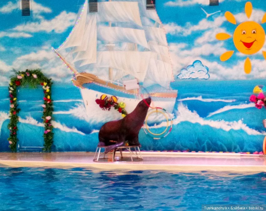 Каролинка и Марик. Малыши в НиНо. Ч. 17. Дельфины - не рыбы (фото 8)