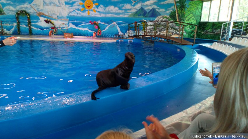 Каролинка и Марик. Малыши в НиНо. Ч. 17. Дельфины - не рыбы (фото 7)