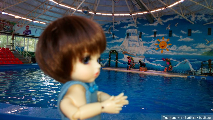 Каролинка и Марик. Малыши в НиНо. Ч. 17. Дельфины - не рыбы (фото 6)