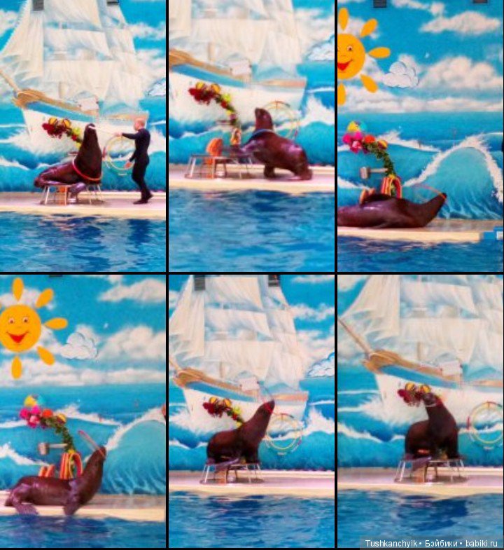 Каролинка и Марик. Малыши в НиНо. Ч. 17. Дельфины - не рыбы