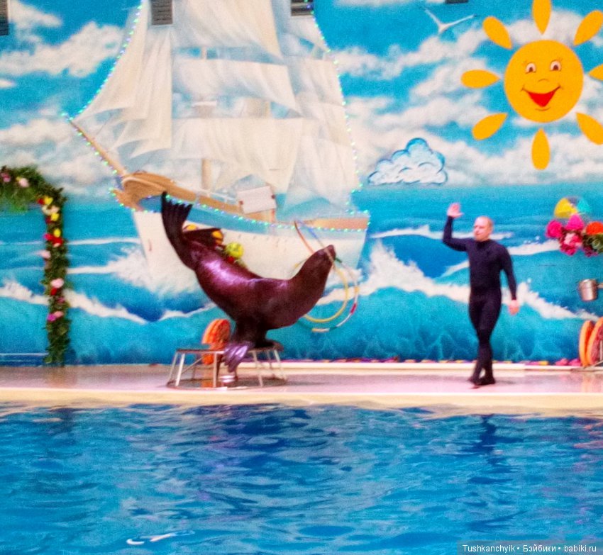 Каролинка и Марик. Малыши в НиНо. Ч. 17. Дельфины - не рыбы