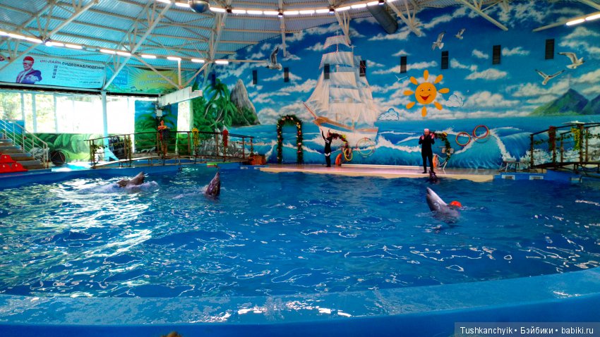 Каролинка и Марик. Малыши в НиНо. Ч. 17. Дельфины - не рыбы