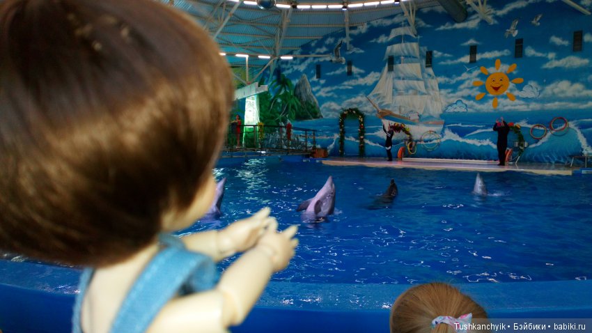 Каролинка и Марик. Малыши в НиНо. Ч. 17. Дельфины - не рыбы