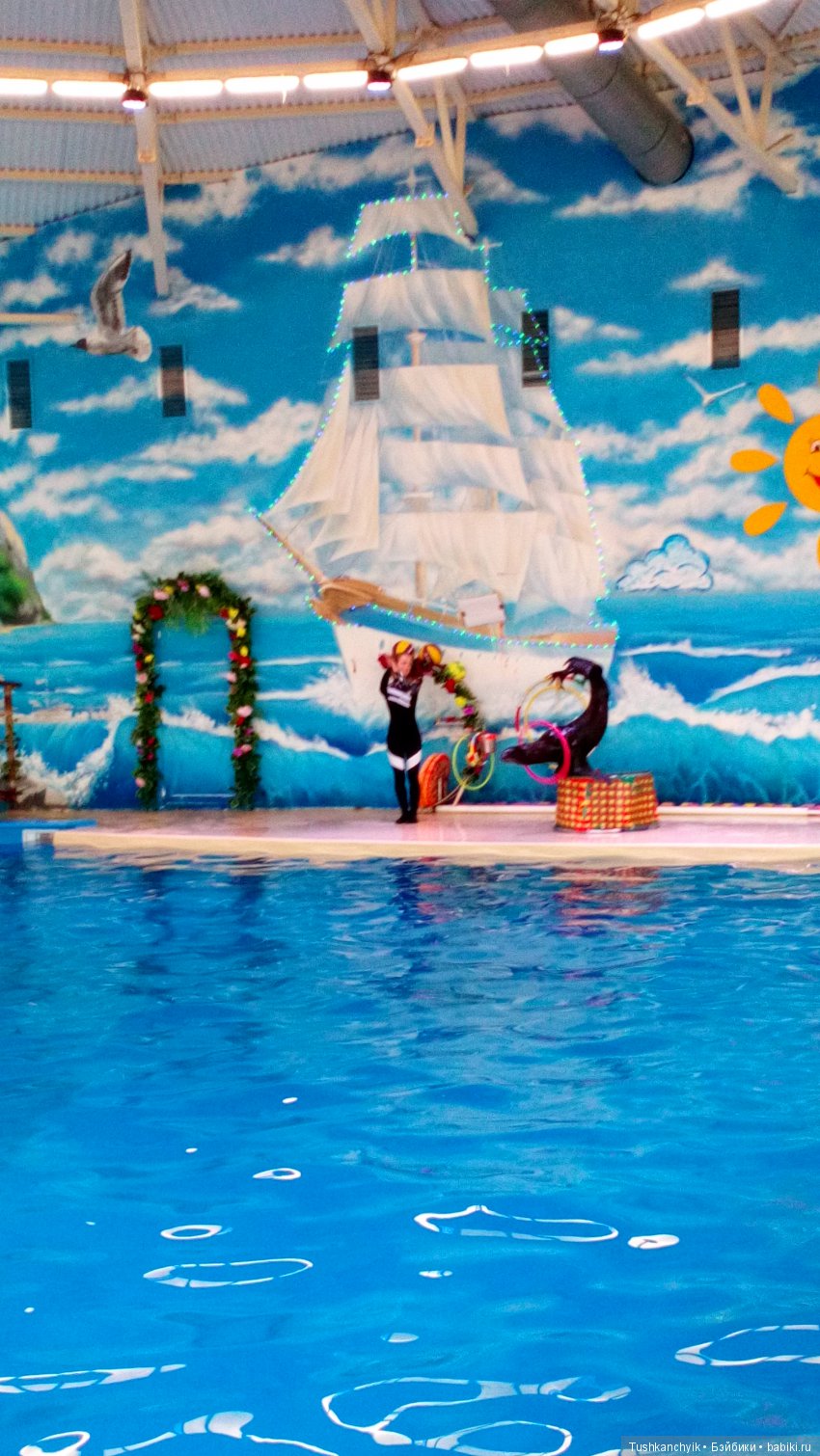 Каролинка и Марик. Малыши в НиНо. Ч. 17. Дельфины - не рыбы (фото 4)