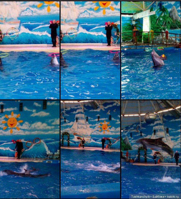 Каролинка и Марик. Малыши в НиНо. Ч. 17. Дельфины - не рыбы