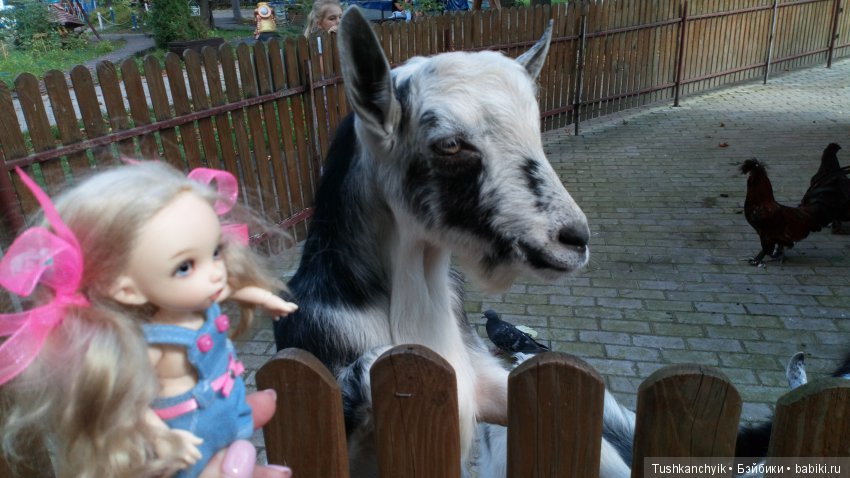 Каролинка и Марик. Малыши в НиНо. Ч. 16. Парк Первого Мая