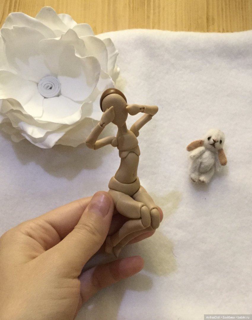 Знакомтесь, миниатюрная красавица, Леди Ия | Бэйбики Знакомтесь, миниатюрная красавица, Леди Ия