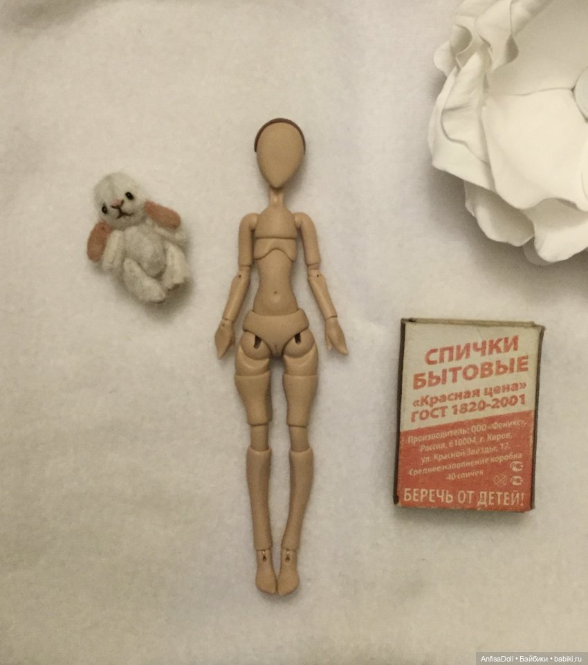 Знакомтесь, миниатюрная красавица, Леди Ия | Бэйбики Знакомтесь, миниатюрная красавица, Леди Ия