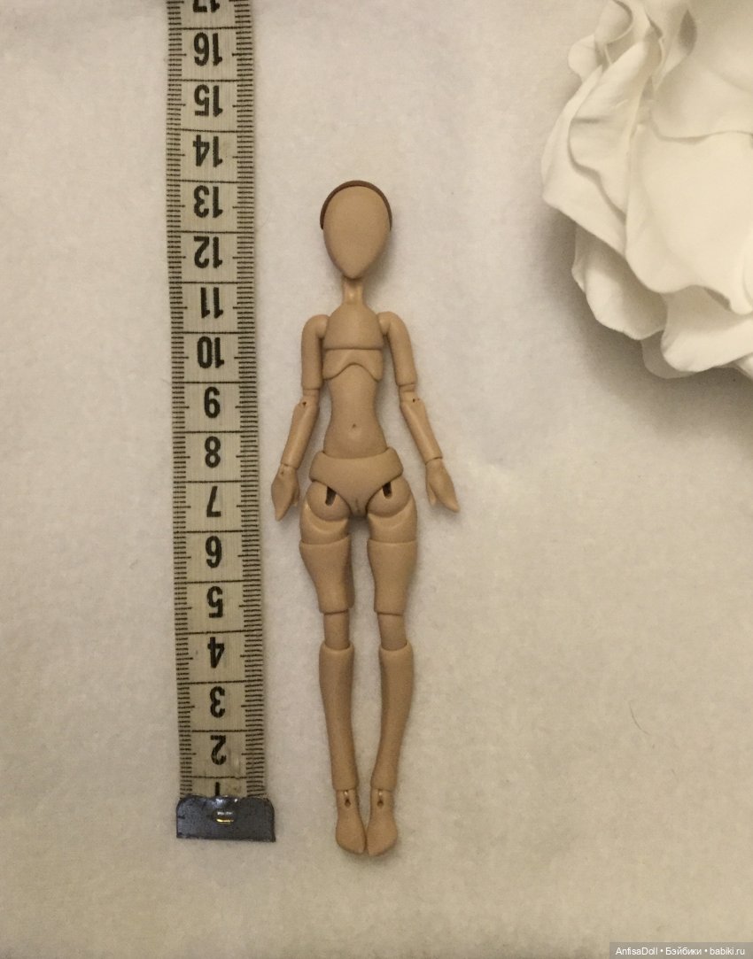 Знакомтесь, миниатюрная красавица, Леди Ия | Бэйбики Знакомтесь, миниатюрная красавица, Леди Ия (фото 2)