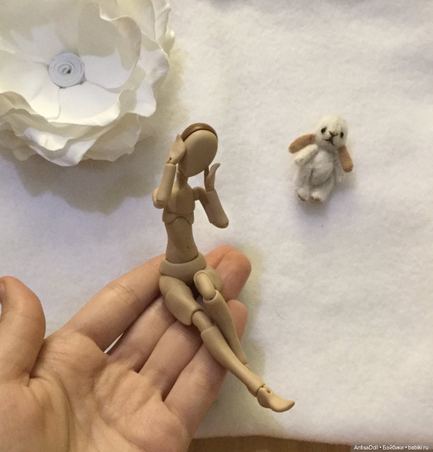 Знакомтесь, миниатюрная красавица, Леди Ия | Бэйбики Знакомтесь, миниатюрная красавица, Леди Ия