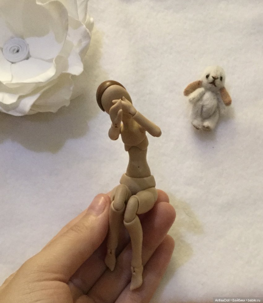 Знакомтесь, миниатюрная красавица, Леди Ия | Бэйбики Знакомтесь, миниатюрная красавица, Леди Ия