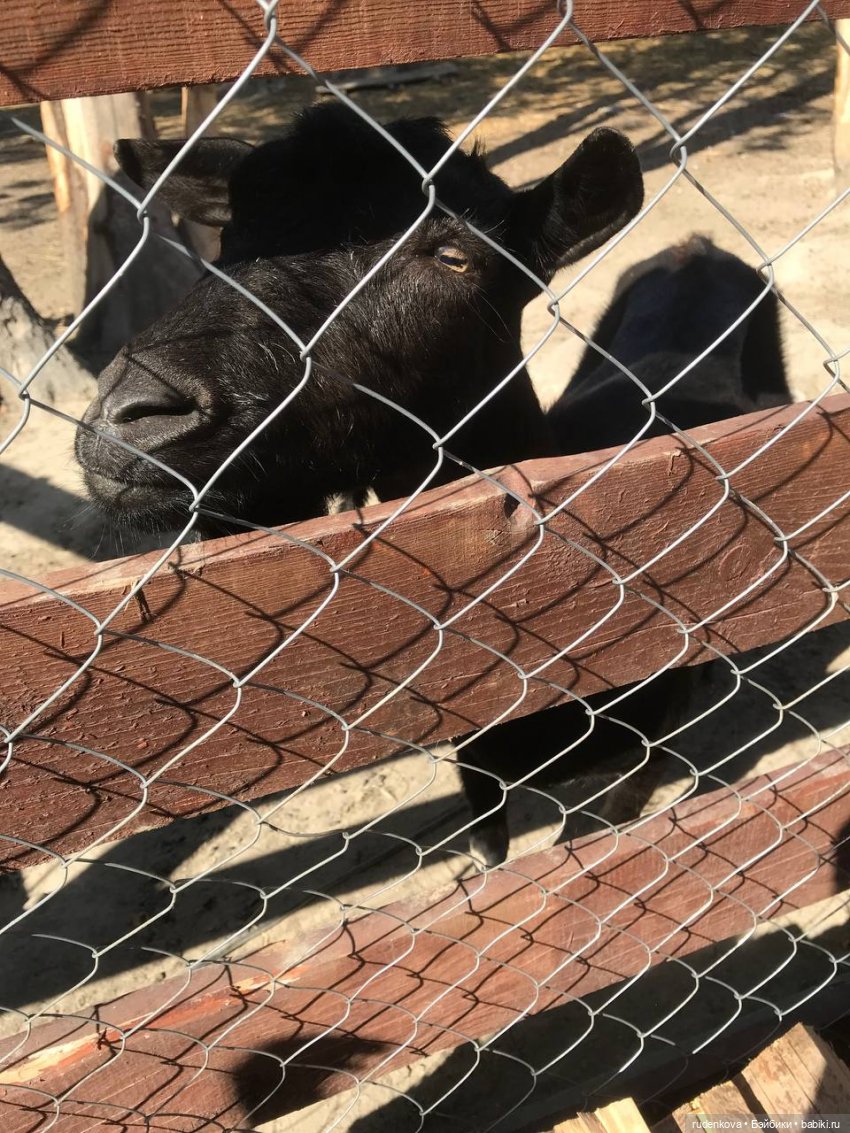 Увлекательная поездка и Неожиданная Катя (фото 7)