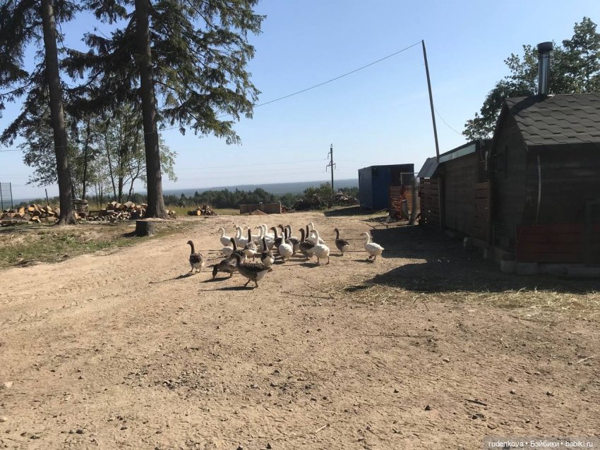 Увлекательная поездка и Неожиданная Катя (фото 8)