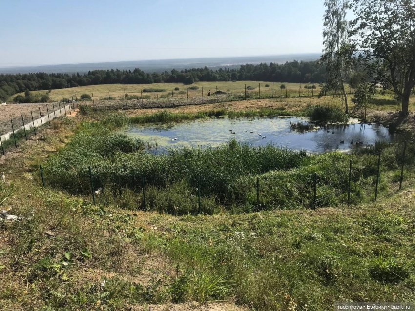 Увлекательная поездка и Неожиданная Катя (фото 3)