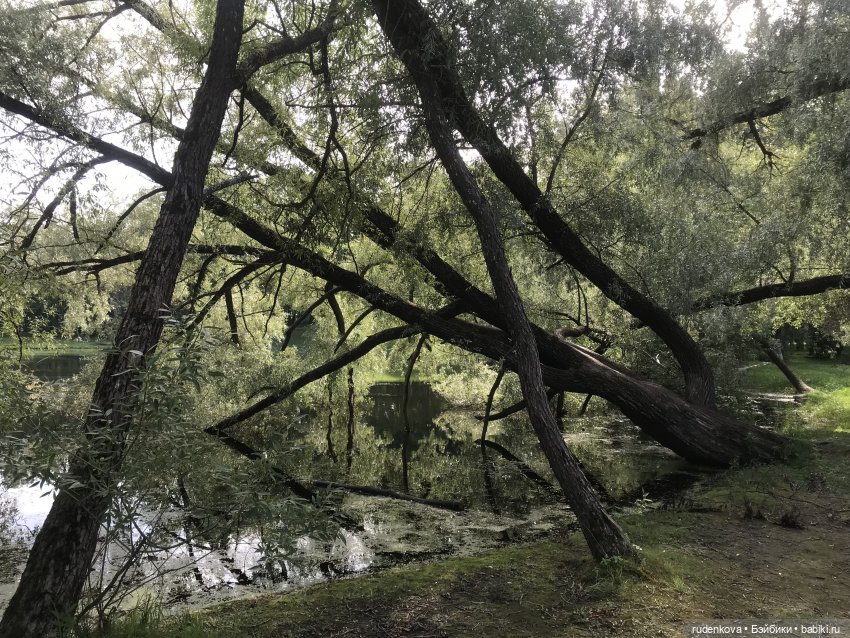 Путешествие в прошлое с Дианочкой