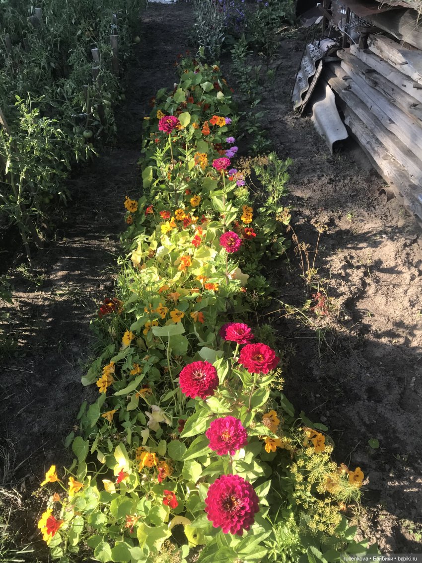 Лебедушка - Привет из прошлого