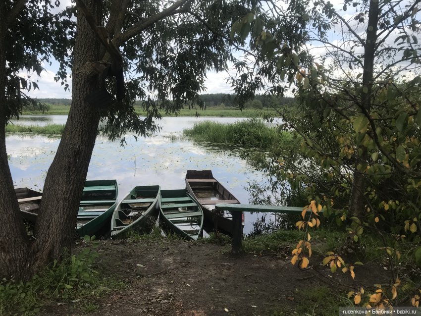 Лебедушка - Привет из прошлого