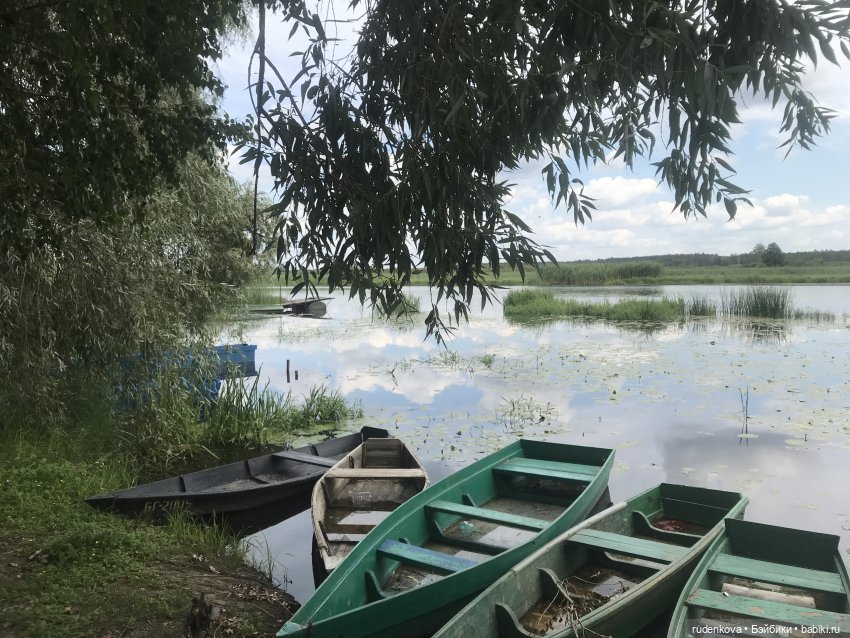 Лебедушка - Привет из прошлого