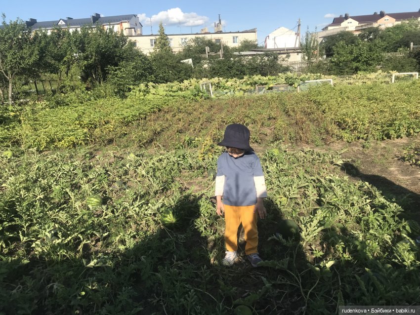 Лебедушка - Привет из прошлого