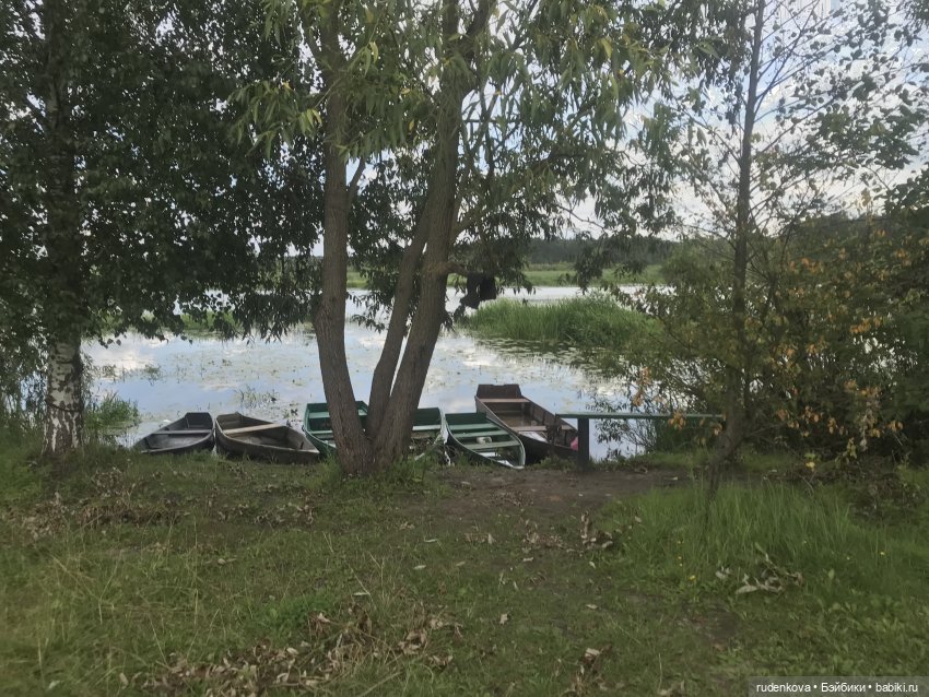 Лебедушка - Привет из прошлого