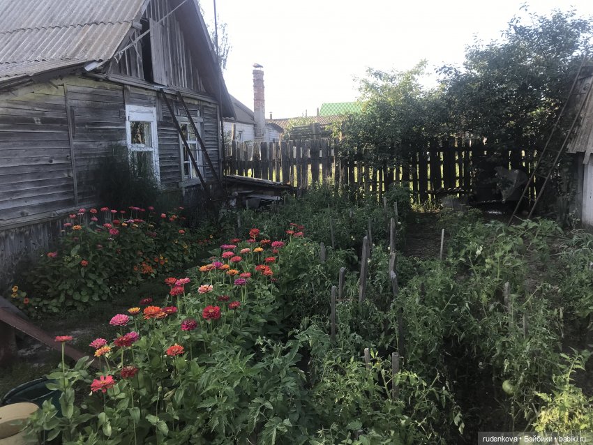 Лебедушка - Привет из прошлого (фото 10)