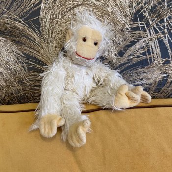 Обезьян-путешественник