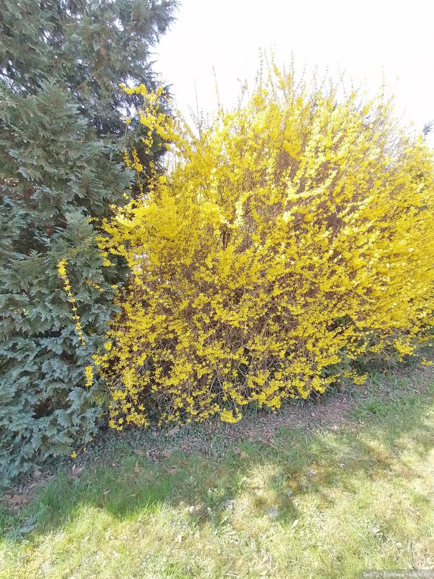 Весна,  фото для настроения.